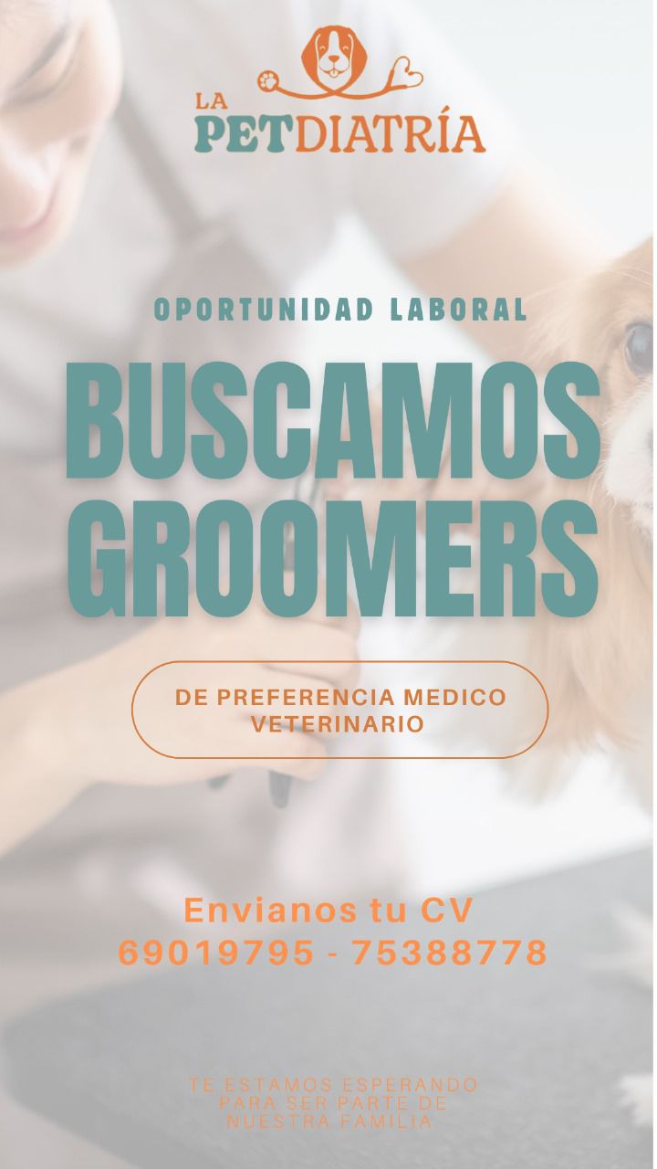 WhatsApp Image 2025-01-06 at 2.40.07 PM