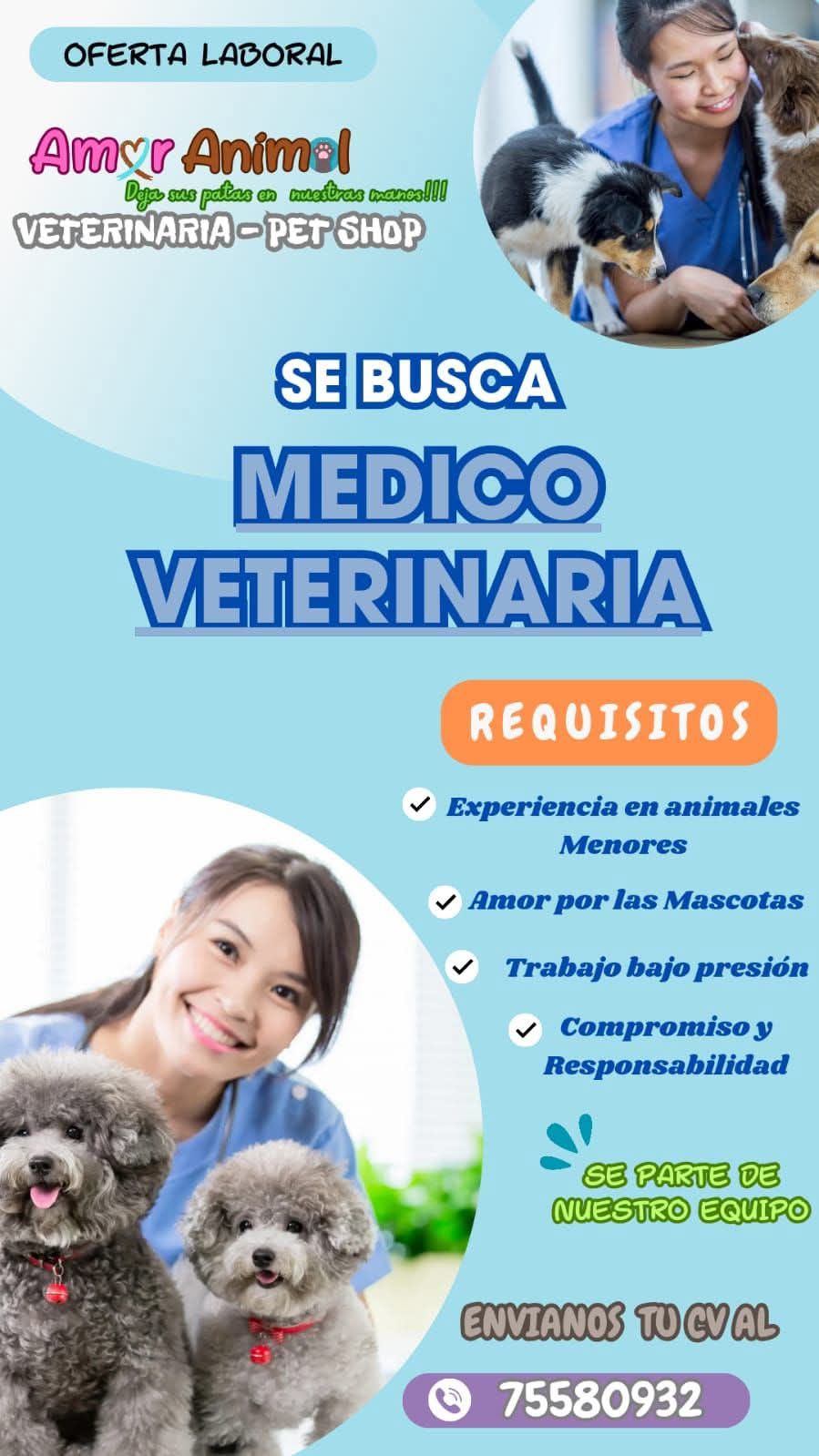 WhatsApp Image 2025-01-10 at 9.19.07 AM