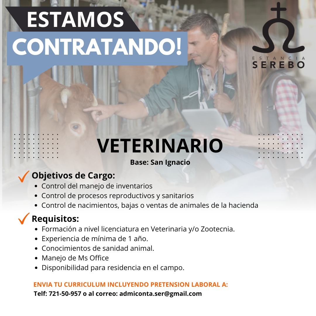 WhatsApp Image 2025-01-17 at 11.14.31 AM