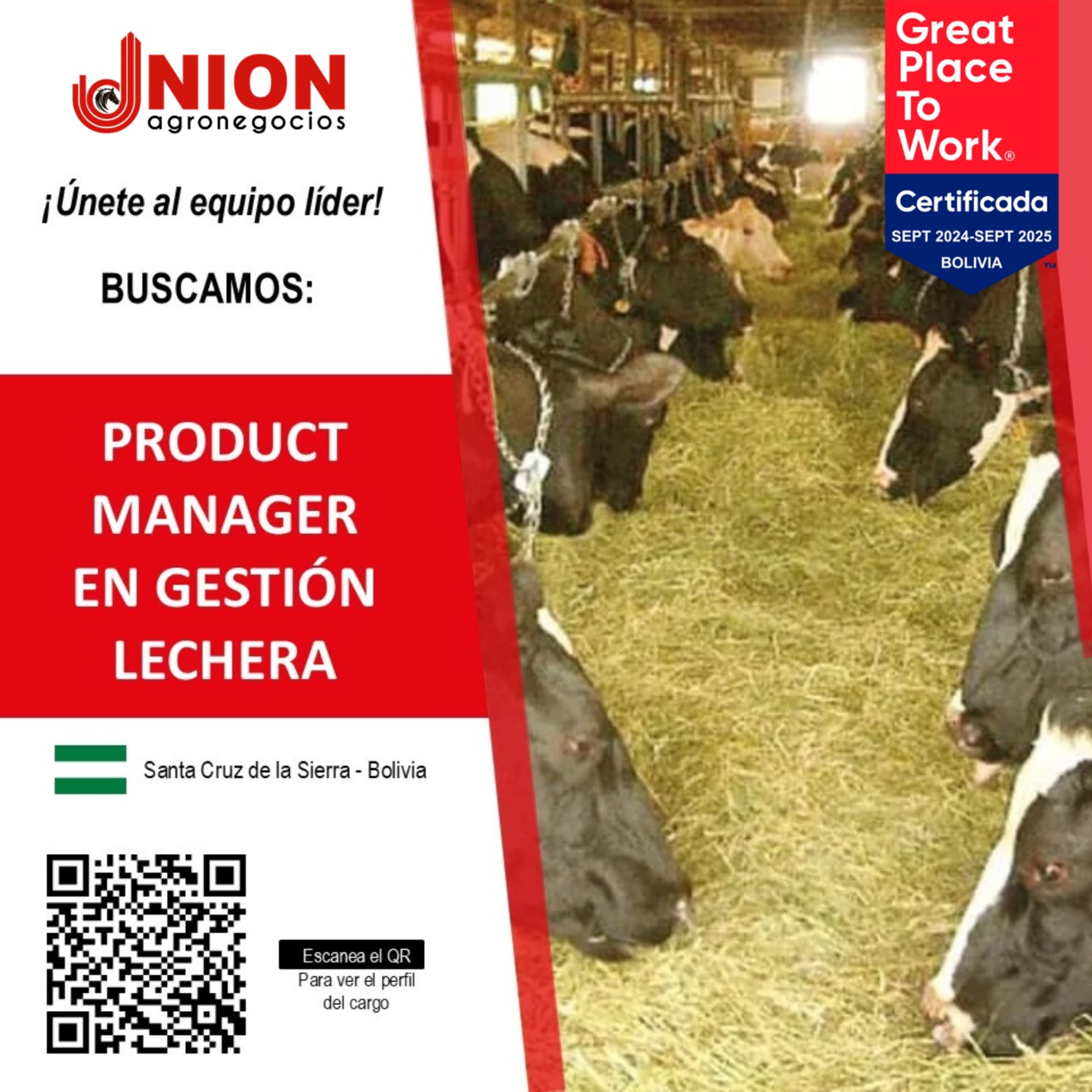 WhatsApp Image 2025-02-21 at 11.58.00 AM (1)