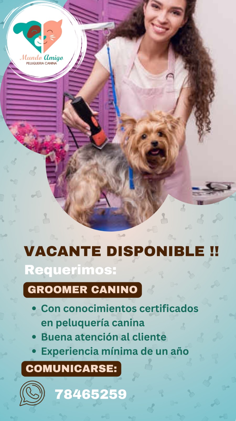 WhatsApp Image 2025-02-24 at 8.58.15 AM