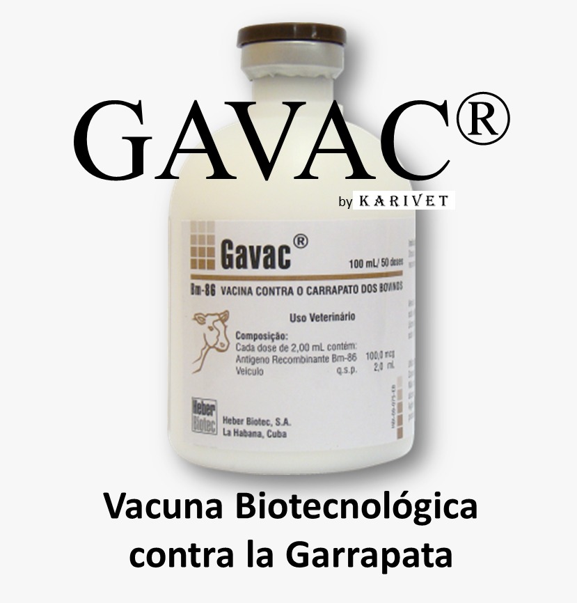 WhatsApp Image 2025-03-11 at 10.56.25