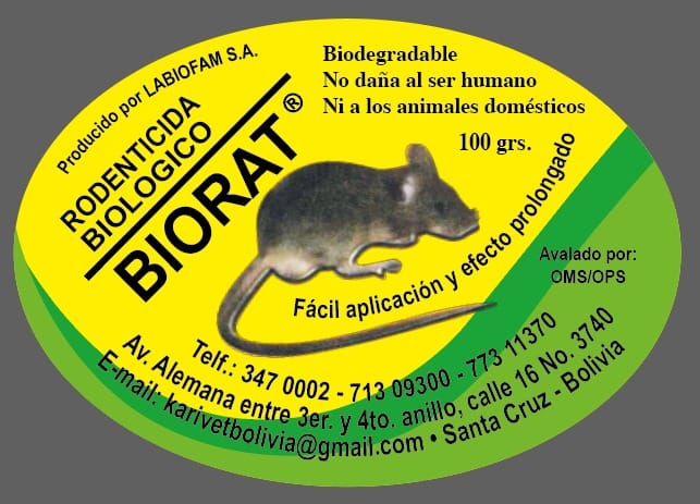 WhatsApp Image 2025-03-11 at 10.57.02