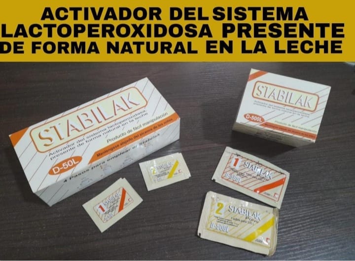 WhatsApp Image 2025-03-11 at 10.59.32