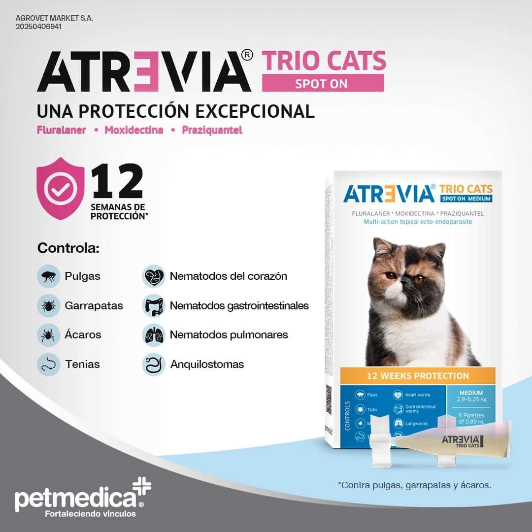 WhatsApp Image 2025-03-14 at 11.30.23