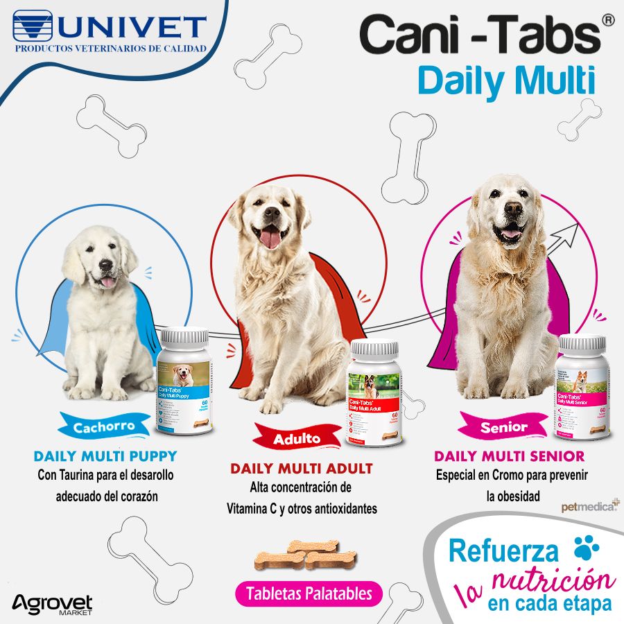 WhatsApp Image 2025-03-14 at 11.33.41