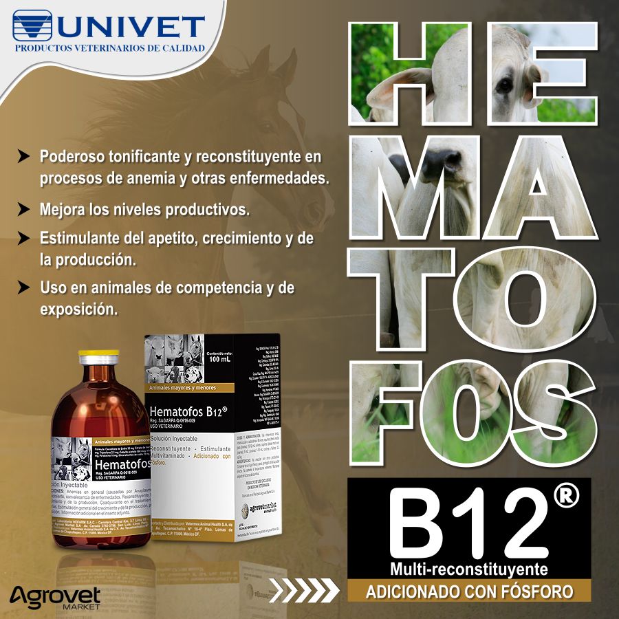 WhatsApp Image 2025-03-14 at 11.36.39