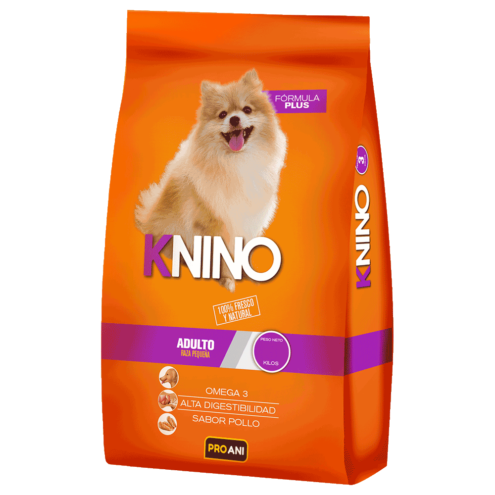 knino-perro-adulto-raza-pequena