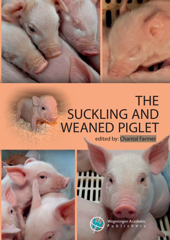 81fef191-8e8d-4e8e-b90d-aa8169735812